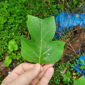 Meet your Posher, Jesse